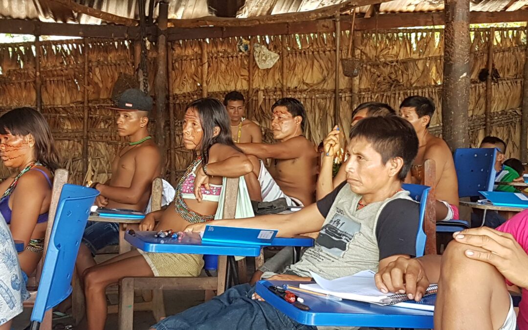 Défendre les droits du peuple Yanomami en Amazonie brésilienne